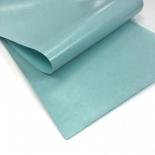 Glossy leather - Mint